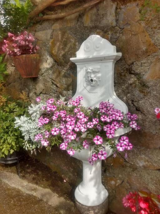 Villa Rondini Vescina エクステリア 写真